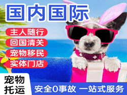 两江空运地址国际宠物托运 【国